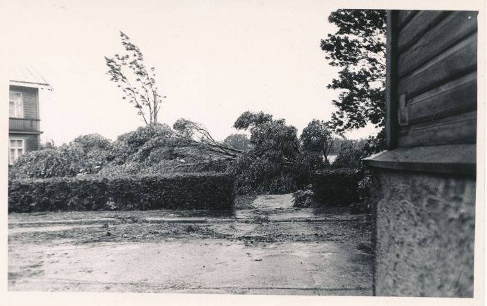 Foto. Haapsalus möllanud tormi kahjustusi Sadama tänava ääres B. Laipmanni monumendi juures. 7. aug. 1967. Fotogr. R. Kalk.