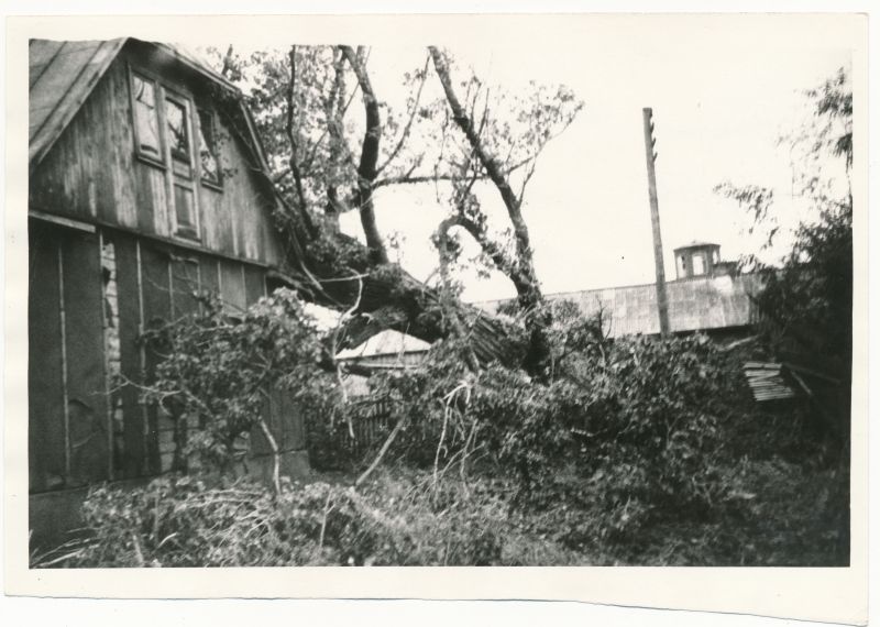 Foto. Haapsalu linna 6. aug. tormi tagajärjed. 1967.