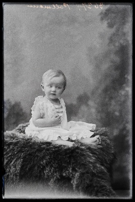 Pollmanni laps.  similar photo