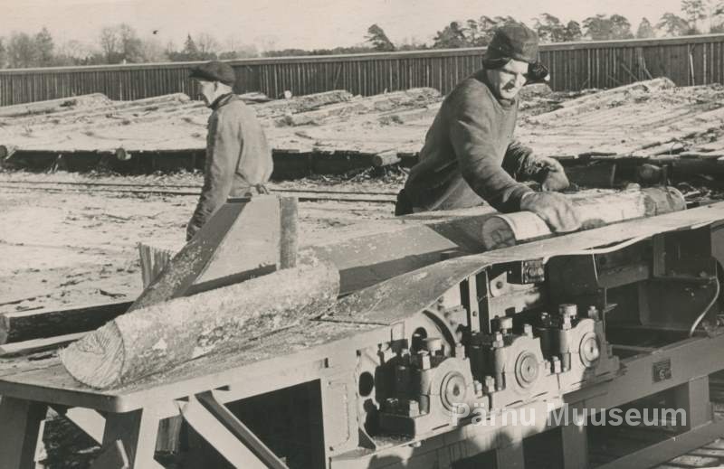 Foto, H.Rannau 1955, Küttepuude tegemine Lähkma metsapunkti Papiniidu alumises laos.