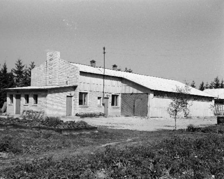Production building at Jõgeva Sordiaretus station 08.1969
