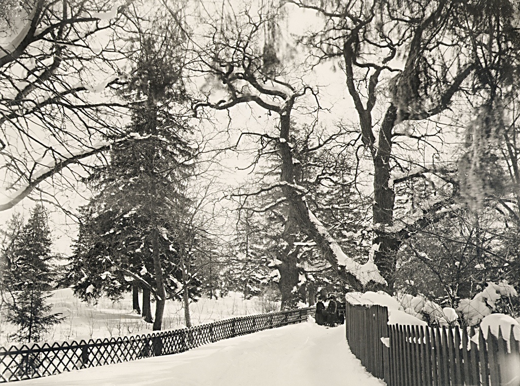 Winter at Djurgården, Stockholm, Sweden