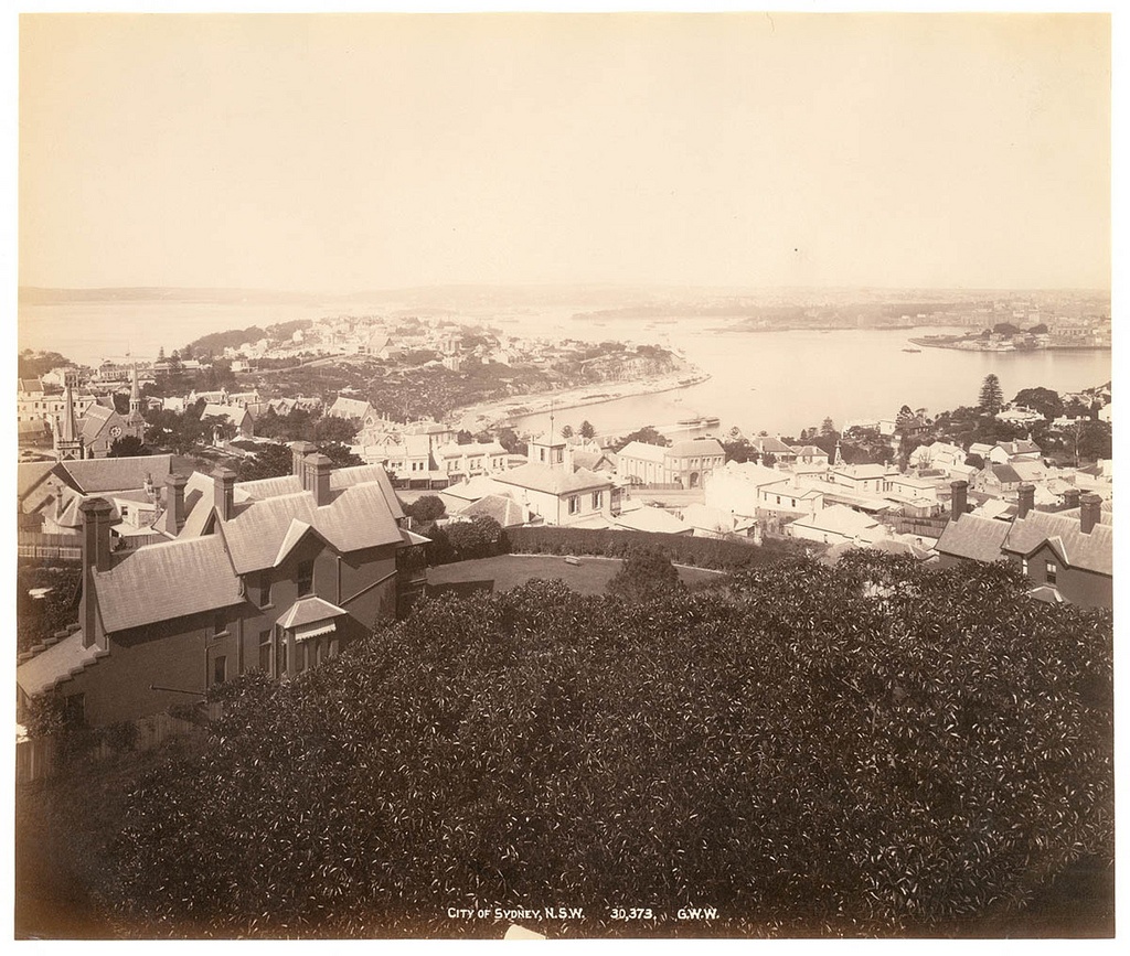 City of Sydney, N.S.W. From Fred Hardie - Photographs of Sydney, Newcastle, New South Wales and Aboriginals for George Washington Wilson & Co., 1892-1893