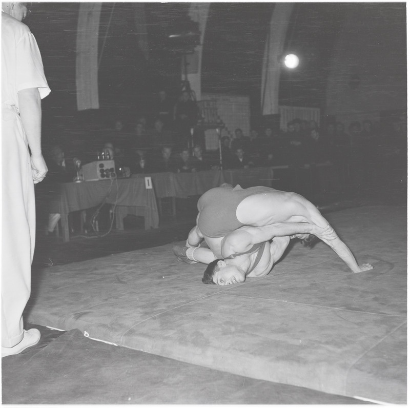 NSV Liidu meistrivõistlused vabamaadluses Tallinnas 1956