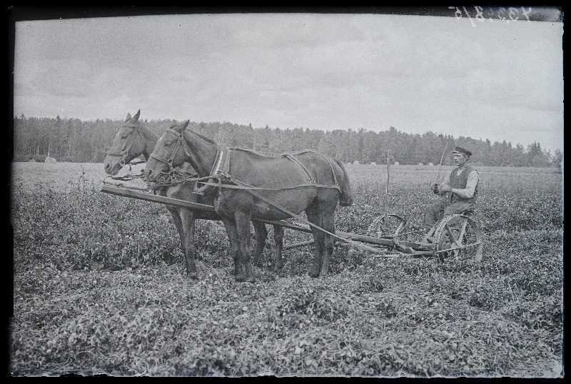 Töömees hoburakendiga põllul töötamas, (foto tellija Vana-Võidu Põllutöökool).