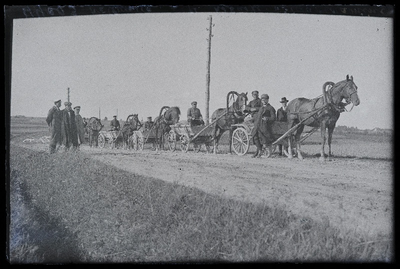 Viljandi Eesti Põllumeeste Seltsi näitus. Hobuste võiduvedamine, (negatiiv ilmutatud 27.10.1924).