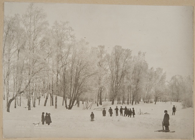 talvinen Kaisaniemi