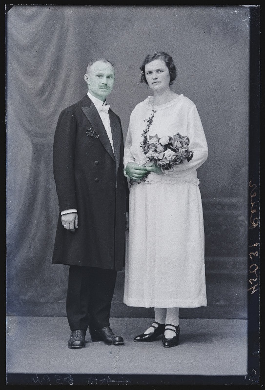 Noorpaar Reier.