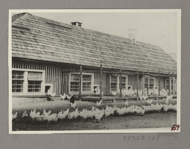 Selektsioonkanala 800 kanale