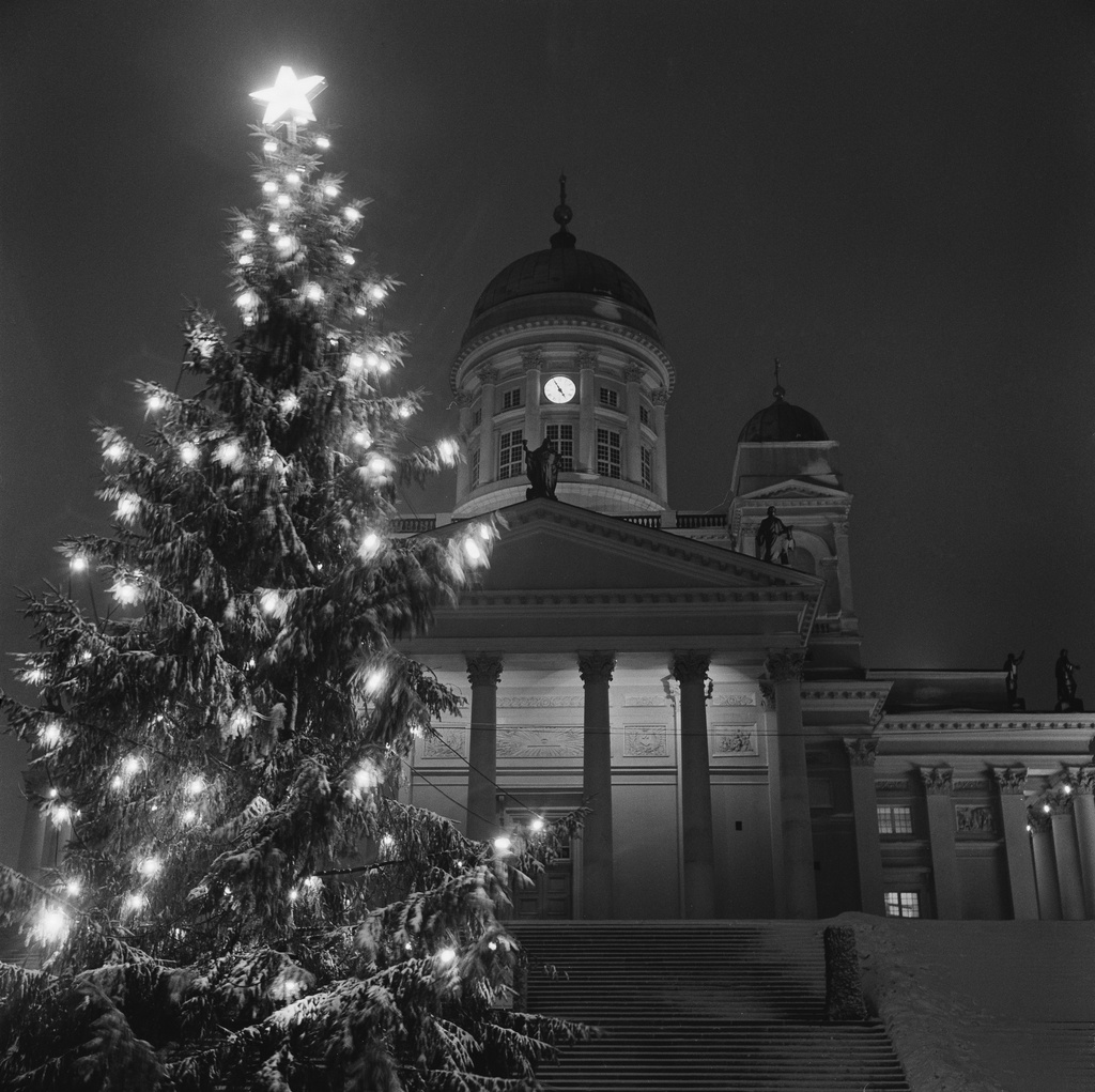 December at the Senate