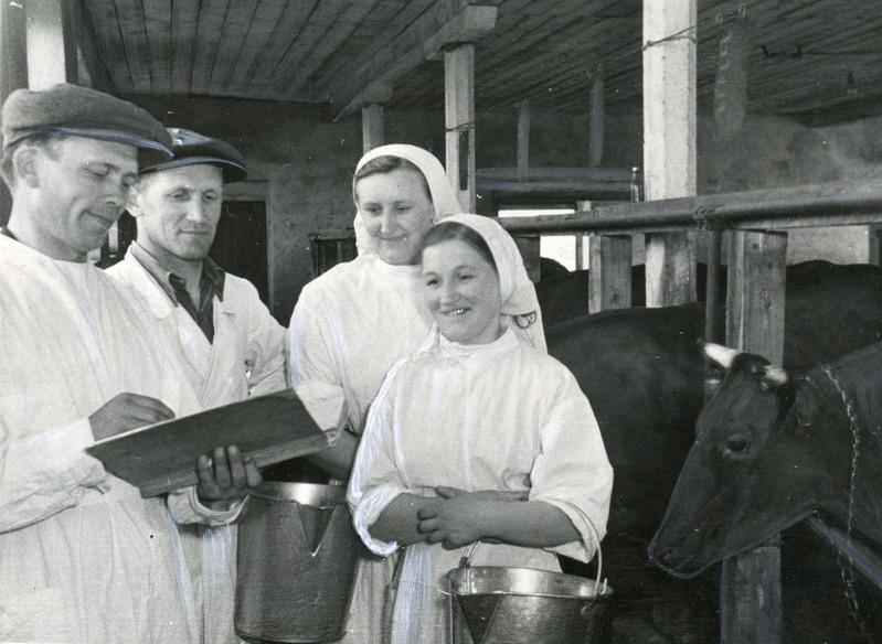 Vanemzootehnik E.Mürkes(vasakul), brigadir H.Aasmaa, lüpsjad H.Saaremaa S.Kudrjaševa