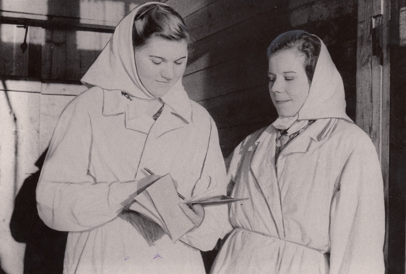 H.Sanglepp ja D.Luist arutavad omavahel töötulemusi