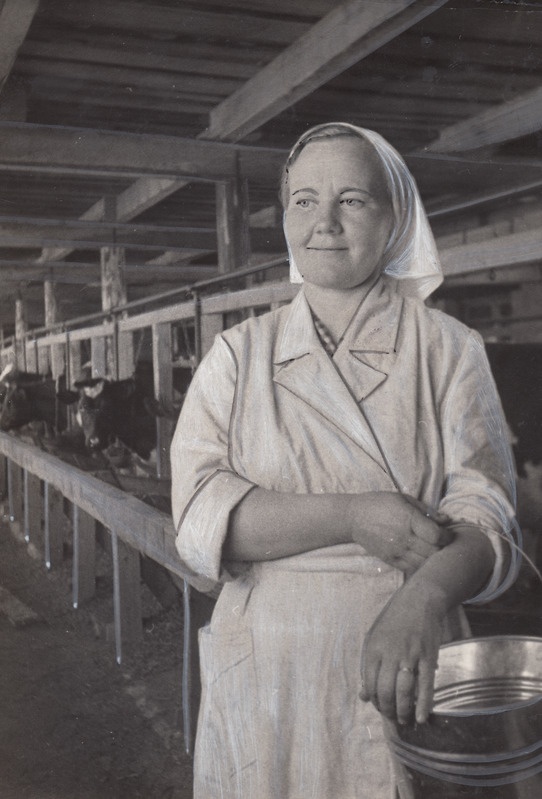 Lüpsja Elviine Sepp.