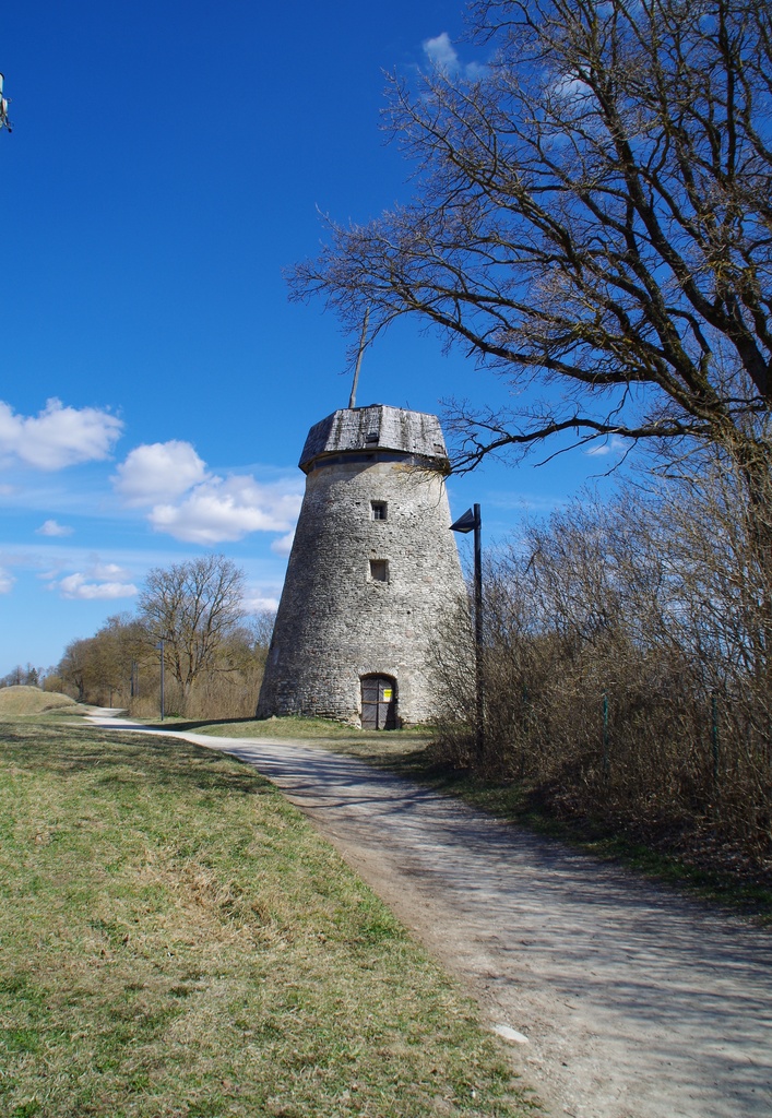 Rakvere, veski Vallimäel rephoto
