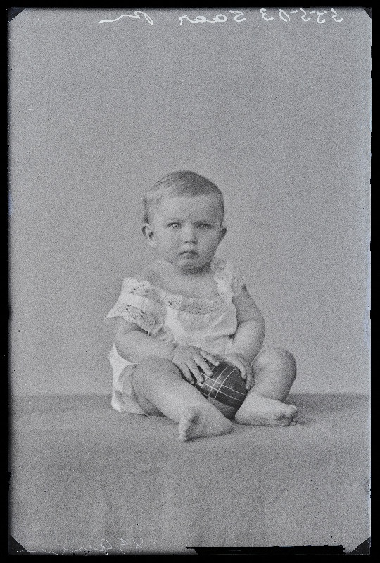 Laps palliga, (foto tellija Saar).