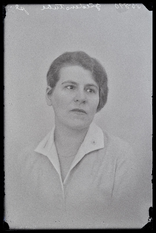 Güldenstubbe.