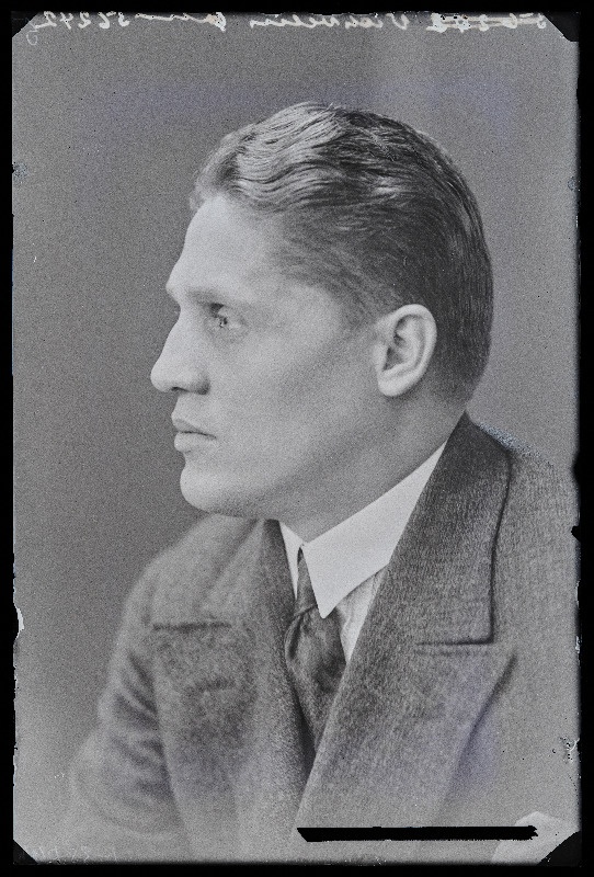 Vihvelin.