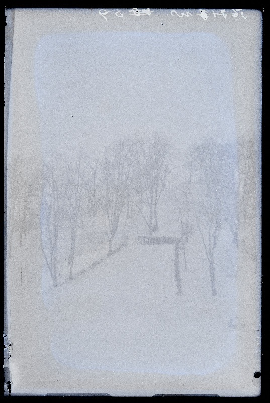 Üleriiklikud politsei- ja kaitsejõudude suusavõistlused Viljandis, vaade suusahüppemäele, (negatiiv ilmutatud 22.02.1931).