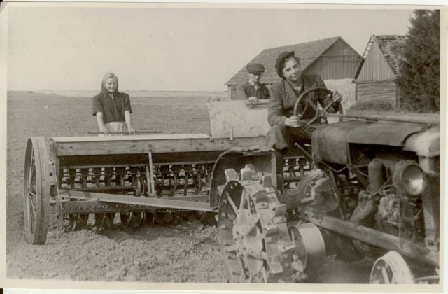 foto, Koigi valla Võitluse kolhoosis 1950.a.
