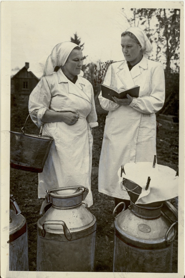 foto, Estonia kolhoosi zootehnik Nurk lüpsi kontrollimas 1953.a.