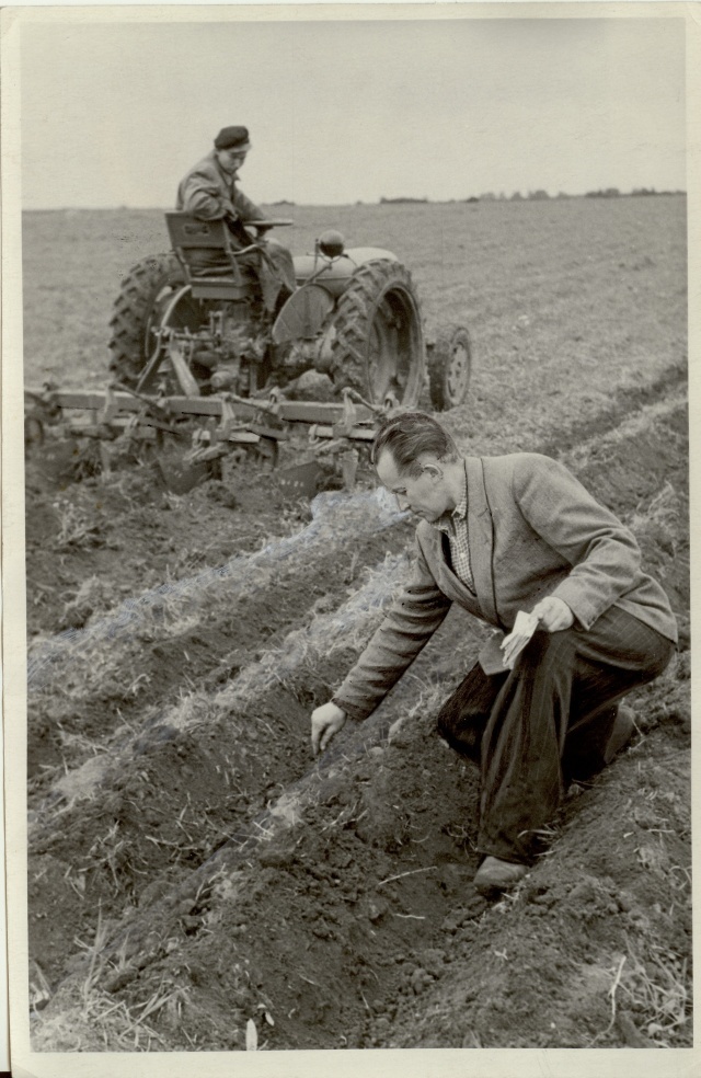 foto, kartuli muldamine Bolševiku kolhoosis 1953.a.