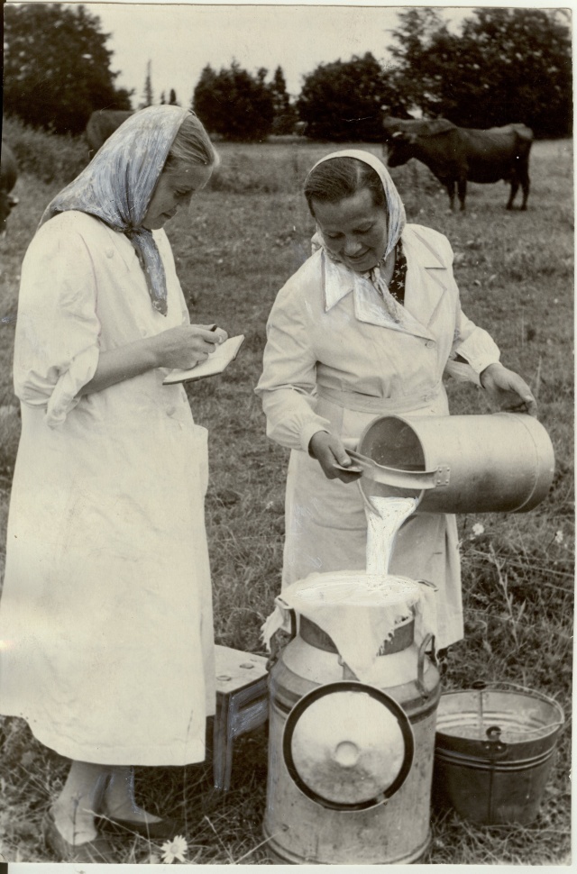 foto, Õiguse Võidu kolhoosi karjafarmis 1953.a.