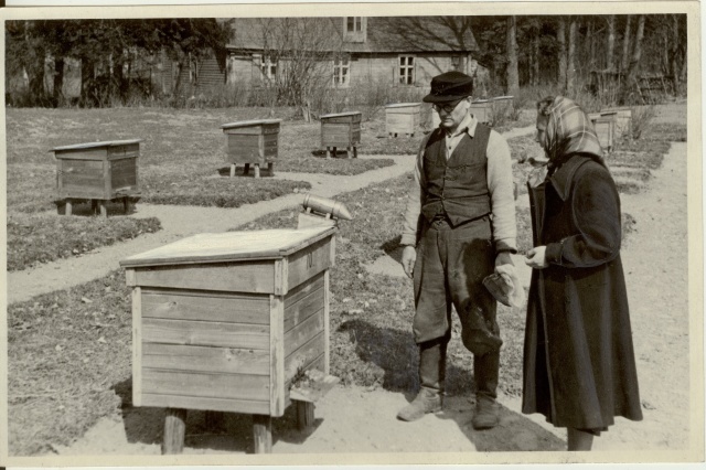 foto, Estonia kolhoosi mesilas 1953.a.