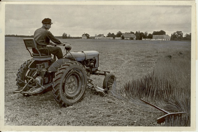 foto, heinaniitmine Tee Kommunismile kolhoosis 1954.a.