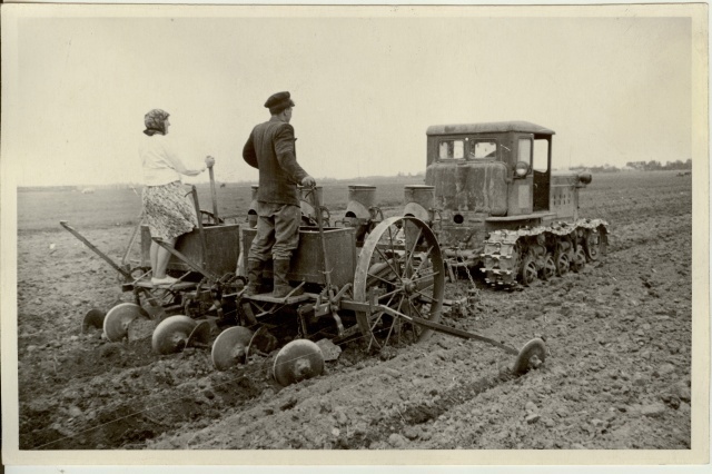 foto, ruutpesitsi kartulipanek Võhma sovhoosis 1955.a.