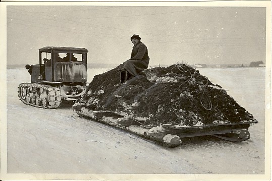 foto, väetisevedu "9.Mai"kolhoosis 1955.a.