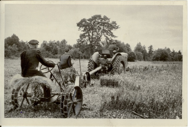 foto, heinaniitmine Uue Elu kolhoosis 1955.a.