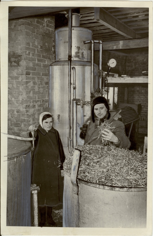 foto, "9.Mai" kolhoosi mehhanisaatorid söödaköögis 1955.a.