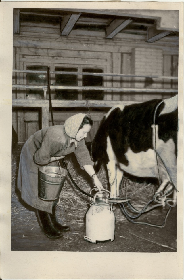 foto, elektrilüps Edasi kolhoosis kolhoosis 1957.a.