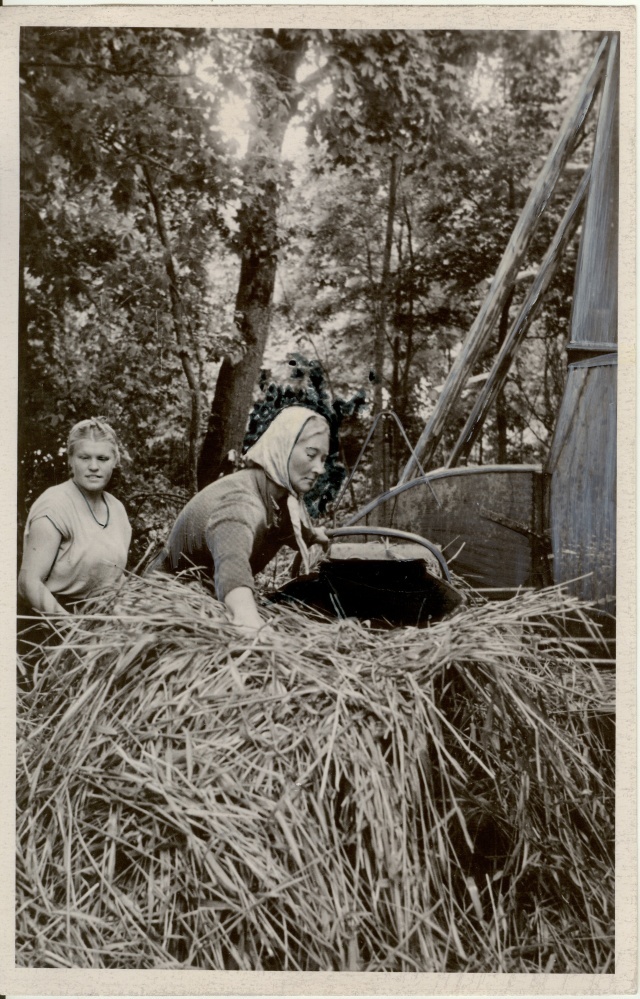 foto, silovalmistamine Udeva sovhoosis 1957.a.