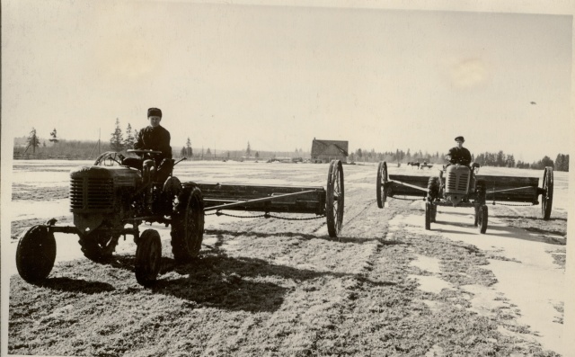 foto, Viisu sovhoosi kultuurkarjamaade pealtväetamine 1957.a.