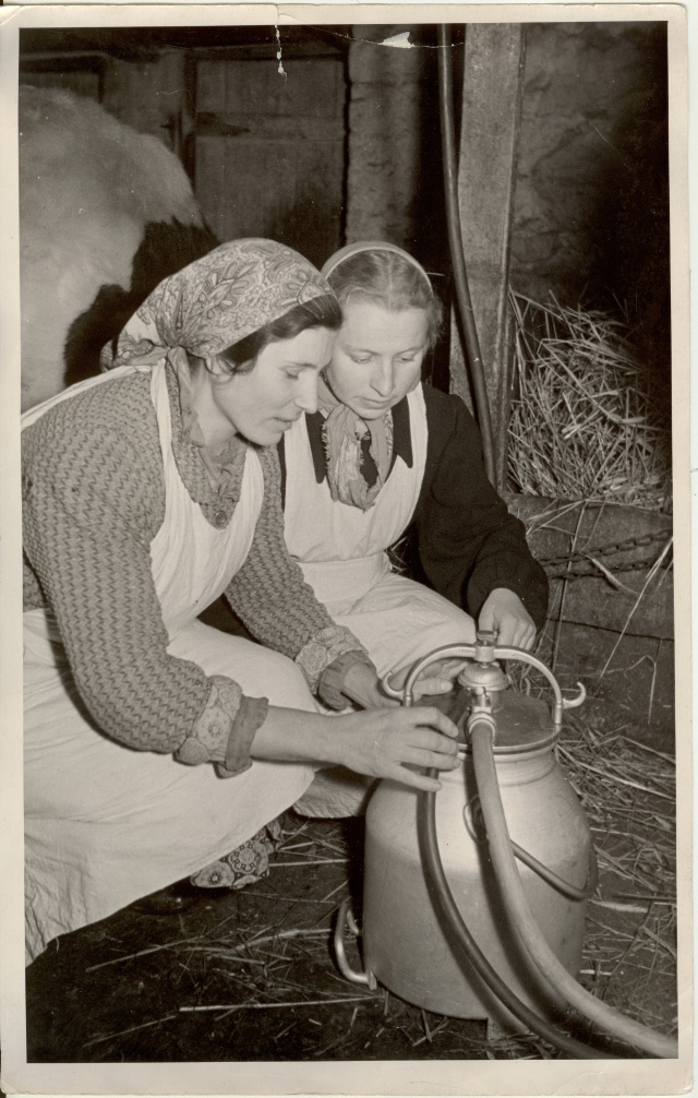 foto, Uued lüpsiaparaadid Tähe kolhoosis 1960.a.