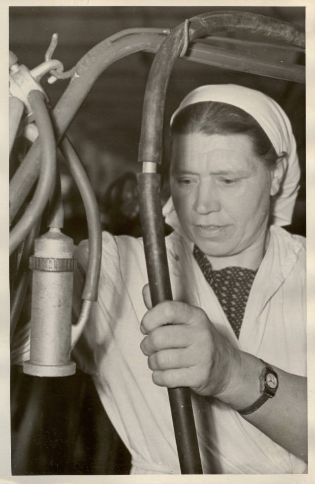foto, Kaardiväelase kolhoosi lüpsja Milde Viirpuu 1961.a.