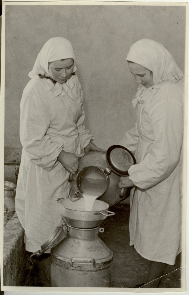 foto, Kaardiväelase kolhoosi lüpsjad E. Räni, L. Vinkel 1951.a.