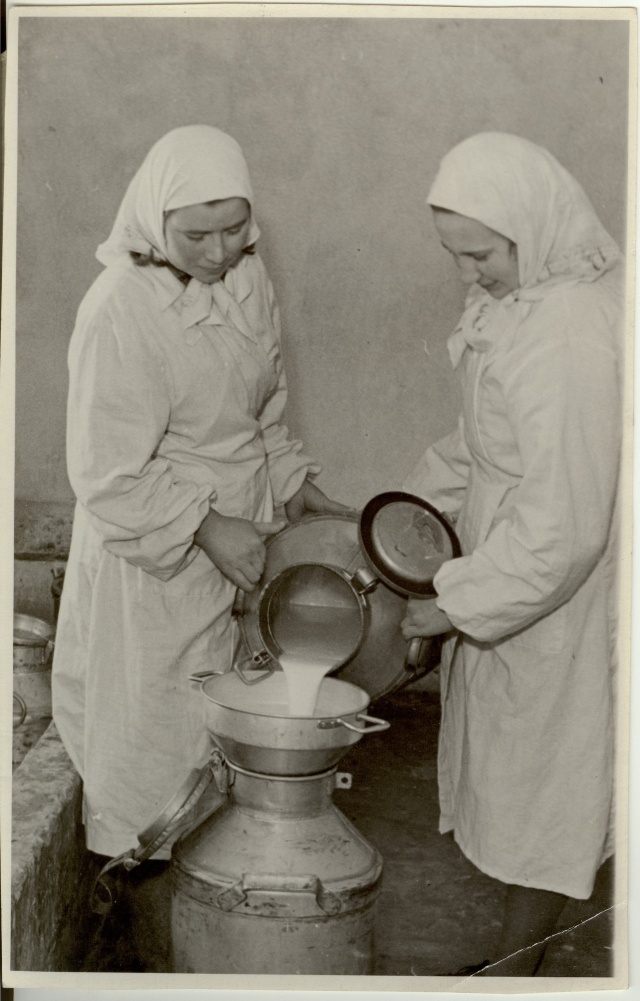 foto, Kaardiväelase kolhoosi lüpsjad E. Räni, L. Vinkel 1951.a.