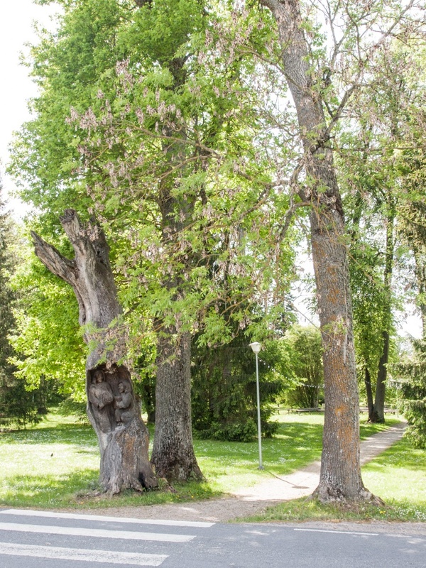 Palamuse pastoraadi ümbrus. rephoto