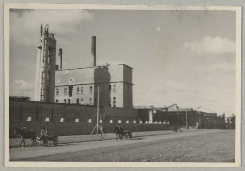 Viktor Kingissepa nimeline Tallinna tselluloosi- ja paberikombinaat (Tallinna tselluloosivabrik)