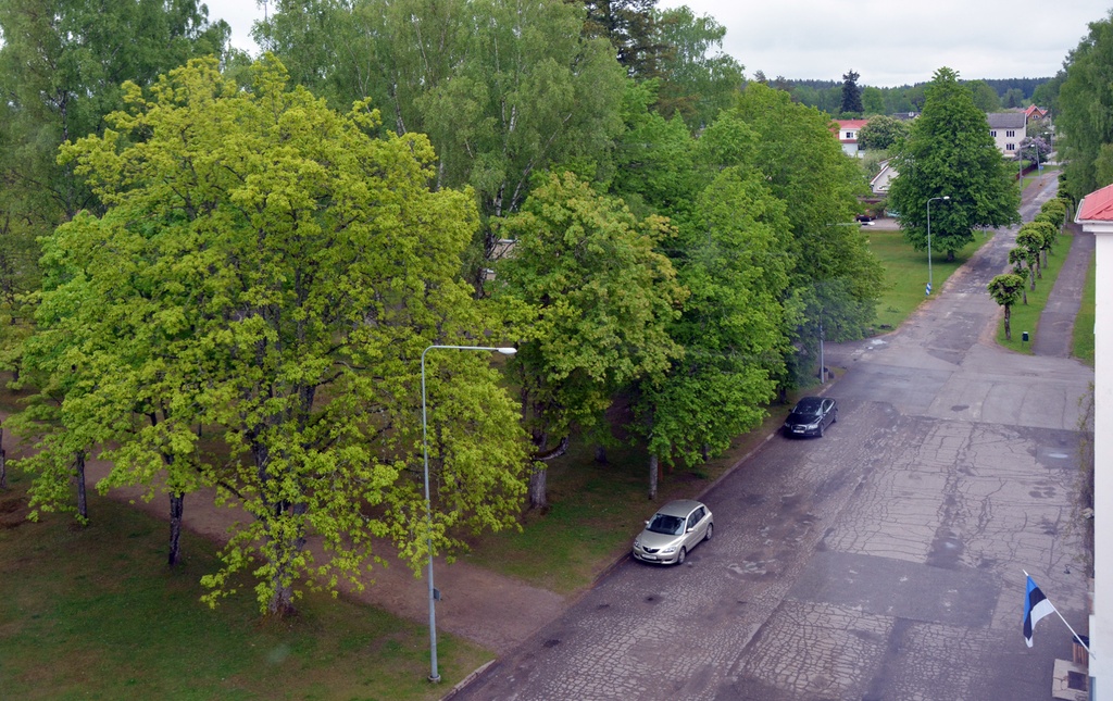 Steak. Tartu Street in the 1930s. rephoto