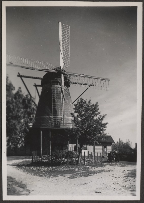 Tuuleveski, foto Hermann Tõnissoo perealbumist