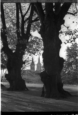 Tallinn. Vaade Lindamäelt Kaarli kiriku suunas  duplicate photo