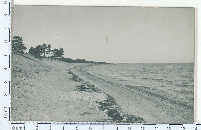 Järve Saaremaal 1910