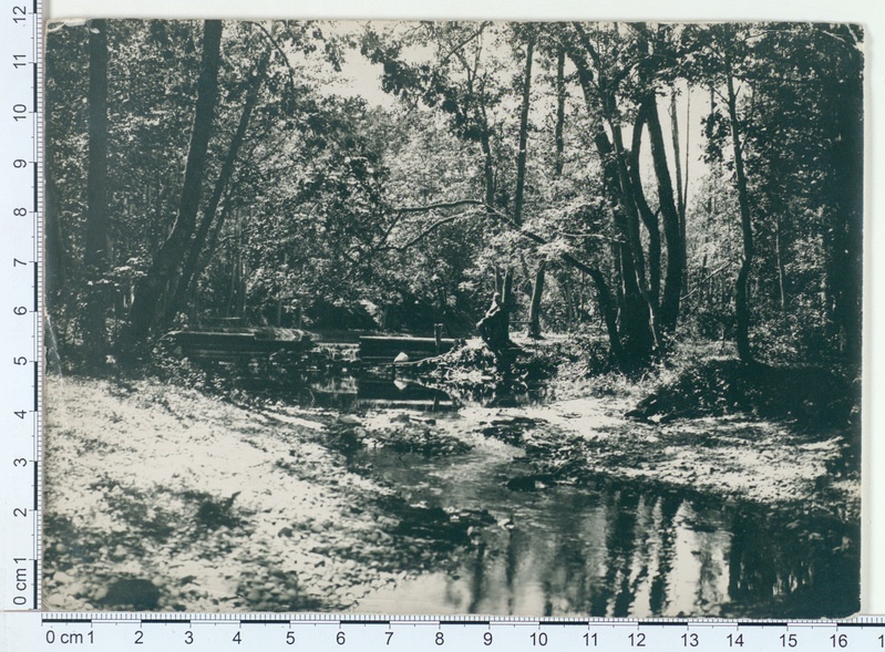 Kärla kiriku park 1910