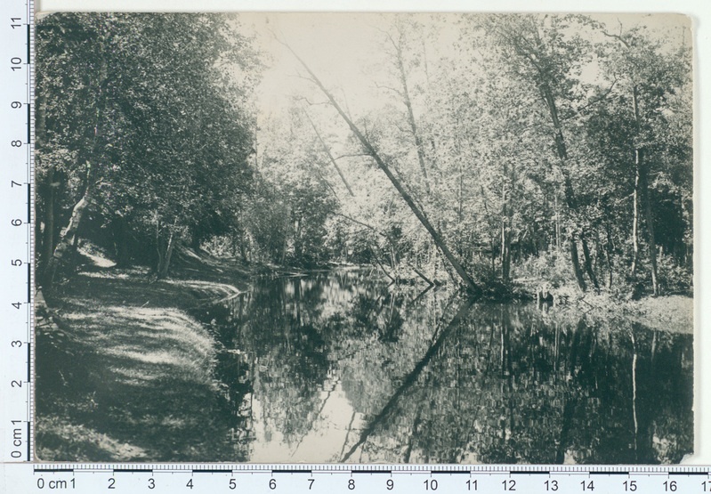 Kärla kiriku puiestik 1910