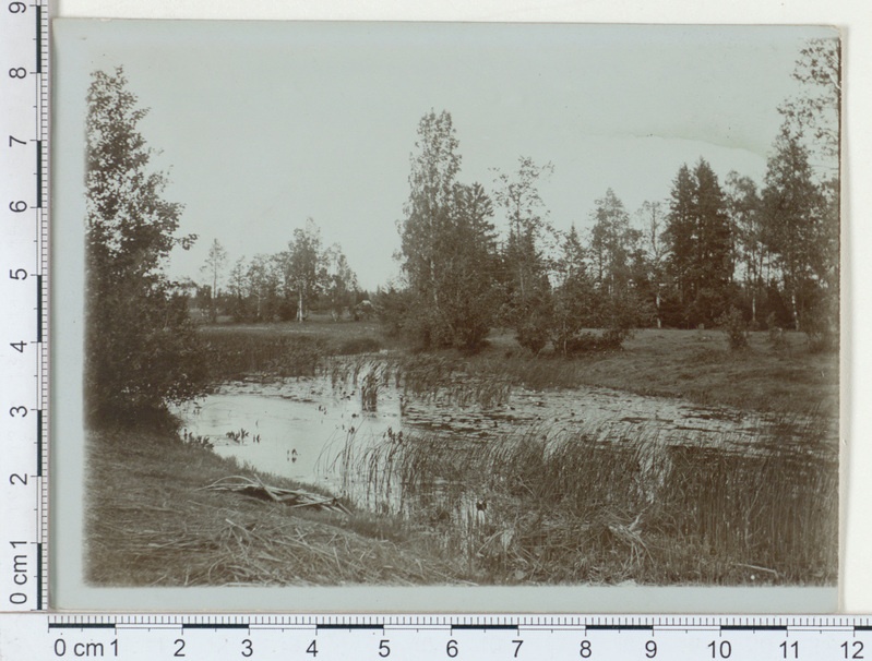 Selli jõgi 1911