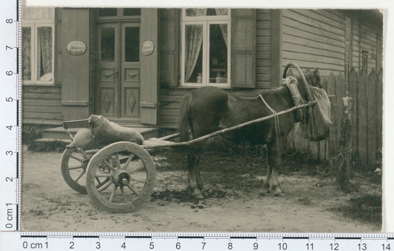 Vana maja Tagapera - Reisikul, maja ees hobune vankriga