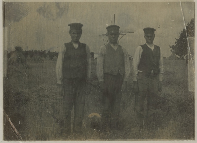 Kolm noort meest põllul, taamal pasitab tuuleveski